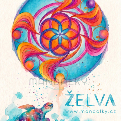 Silové zvíře Želva a Důvěra
