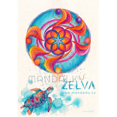 Silové zvíře Želva a Důvěra